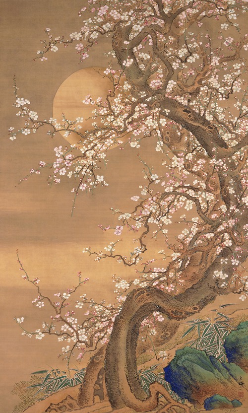 Pink and White Plum Blossoms in Moonlight
