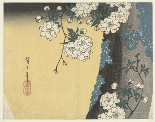Cherry blossoms on a tree trunk