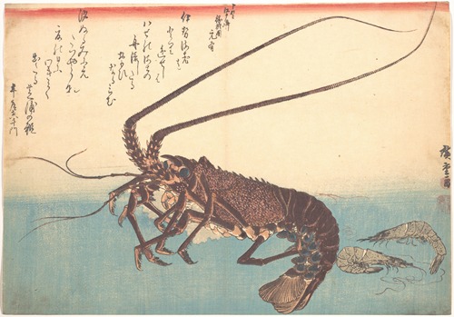 Ise-ebi and Shiba-ebi
