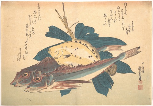 Kanagashira and Karei Fish