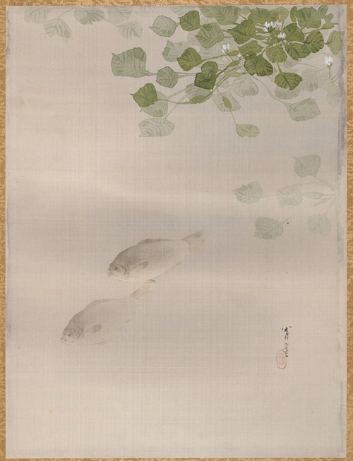 Fishes