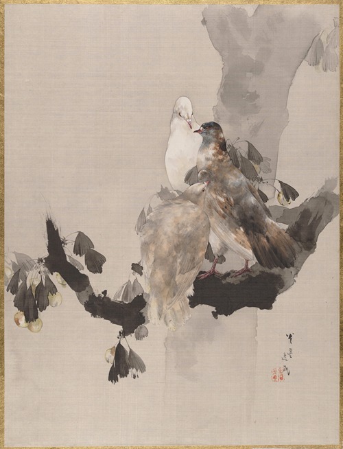 Pigeons in a Tree