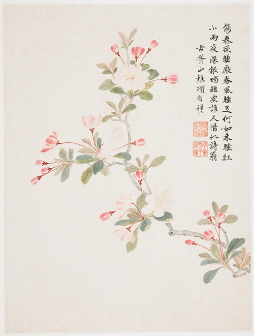 Crab-apple Blossom