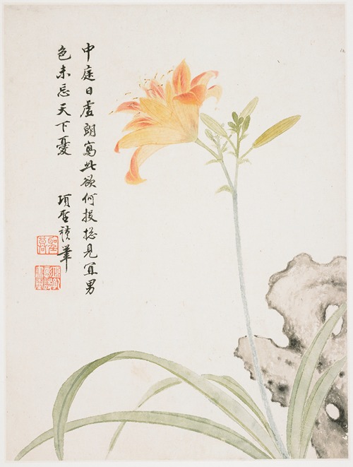 Day-Lily
