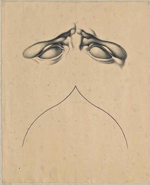 Analogy between frowning eyes (of Laocoon’s son) and a gothic arch