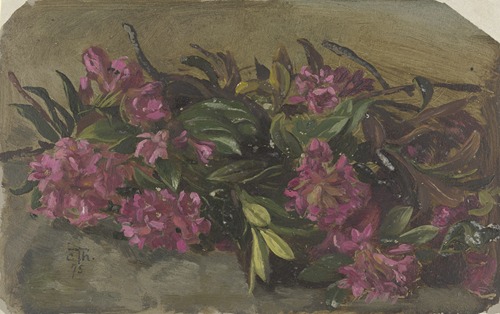 Alpenroses