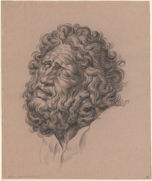 Kop van de Laocoön (de sculptuur i.h. Vaticaans Museum)