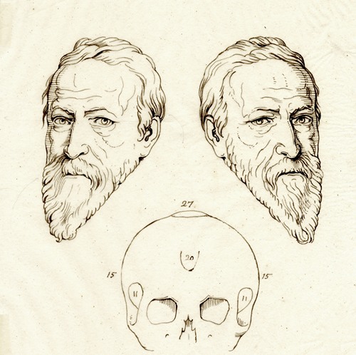 Kop van Oldenbarnevelt: beeld, spiegelbeeld en schedel