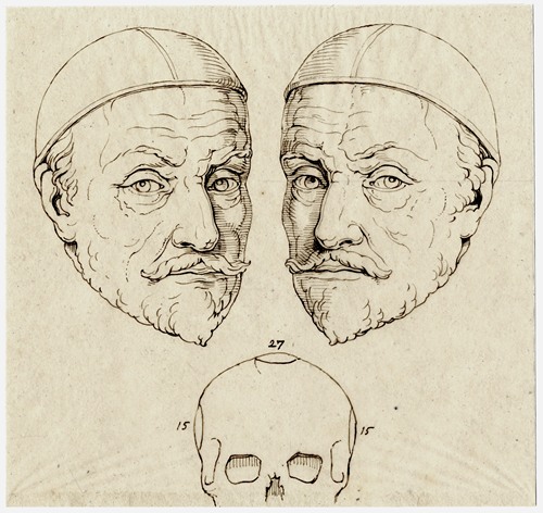 Kop van Willem van Oranje: beeld, spiegelbeeld, schedel