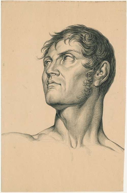 Mannenkop