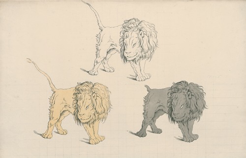 Standing lion in a threatening pose, three times repeated in different colours