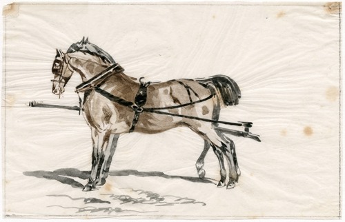 Twee paarden in een juk