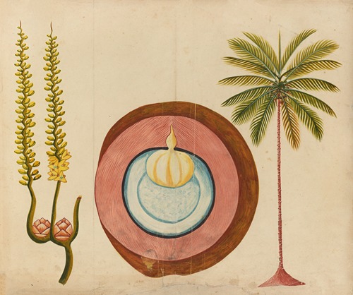 Album of watercolors of Asian fruits and flowers Pl.04