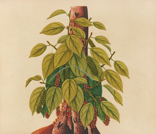 Album of watercolors of Asian fruits and flowers Pl.34