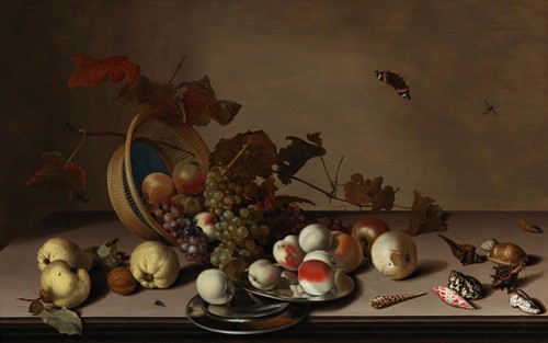 A fruit still life with a wicker basket, shells and a butterfly