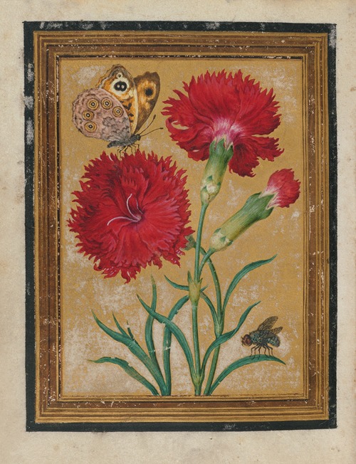 Paintings of Flowers, Butterflies, and Insects Pl.4