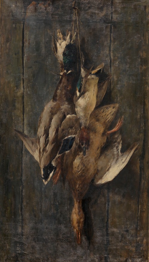 Waterfowl