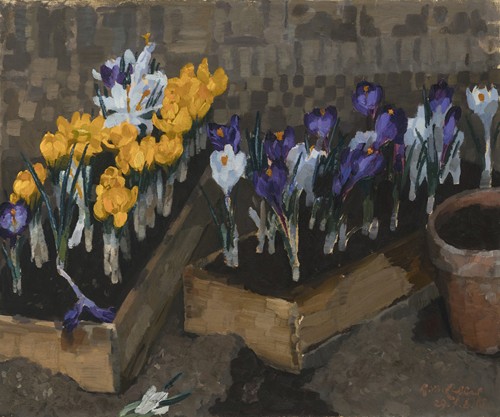 Krokusse