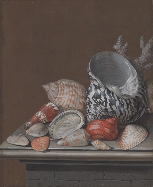 Still Life with Shells