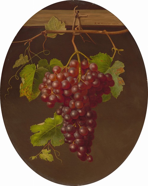 Hanging Bunch of Grapes