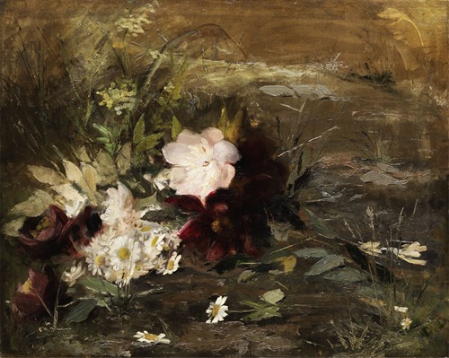 Seerosen bloemen en Margrieten op de wal