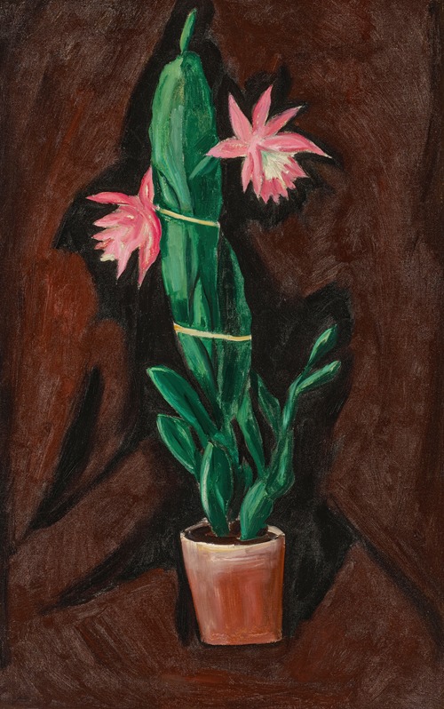 Cerise Cactus