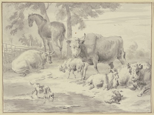 Kühe, Schafe, eine Ziege, ein Pferd und ein Hund bei einem Wasser