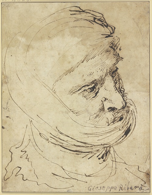Head of a Man with cloth Headdress