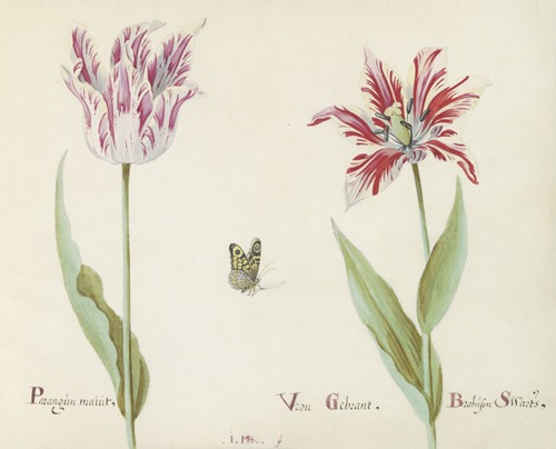 Twee tulpen met vlinder Parangun maiut Vrou Gebrant Brabason Swarts