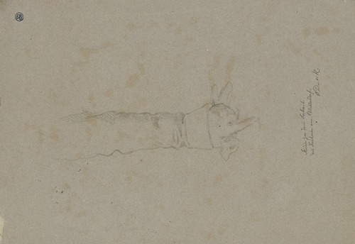 Herabhängender Arm, in der Hand ein Handschuh, zum Porträt des Freiherrn von Blittersdorff