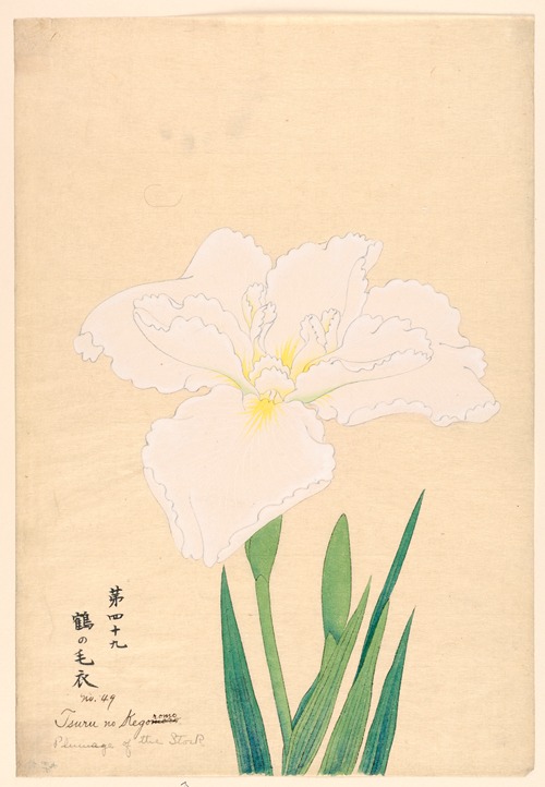 Plumage of the Stork (Tsuru no Kegoromo)