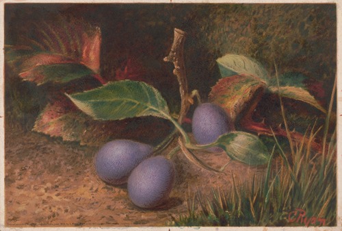 Grapes
