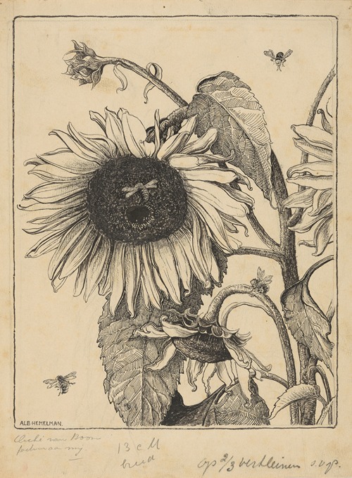 Sunflowers