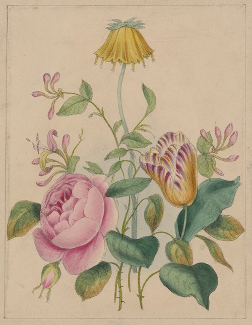 The union of the flowers, or, The royal marriage