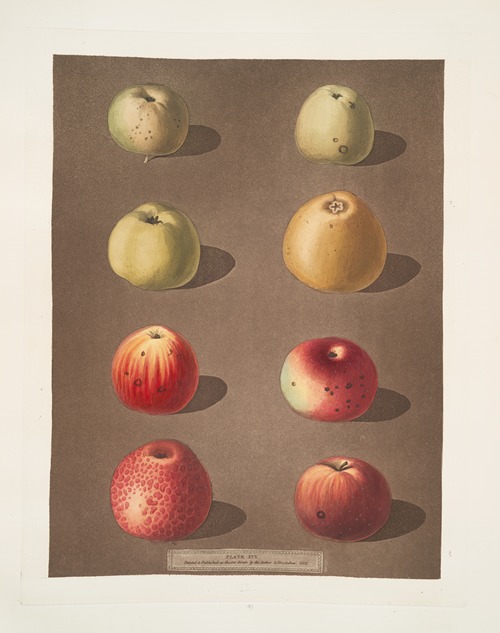 Apples (Robertson’s, Blanchard’s, Rasberry, Lemon, Aromatic. Fern’s, Embroidered and the Spitsburgh Pippins).