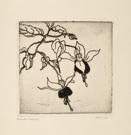 Fuchsien