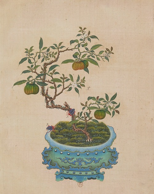 Flowers, birds and insects Pl.05