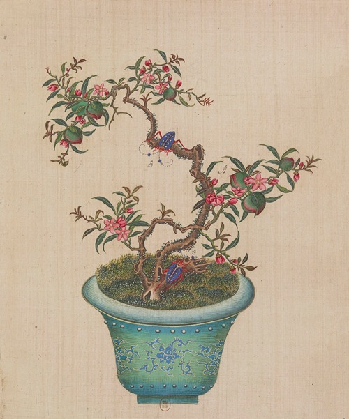 Flowers, birds and insects Pl.12