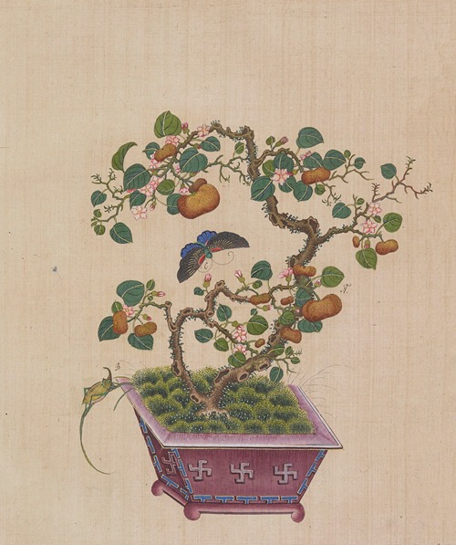 Flowers, birds and insects Pl.14