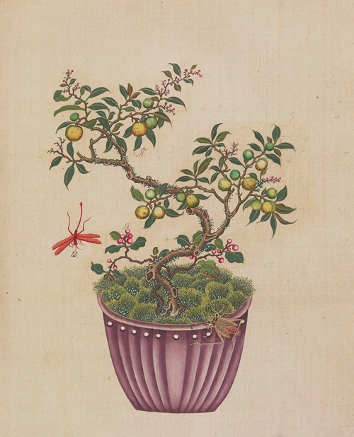 Flowers, birds and insects Pl.15