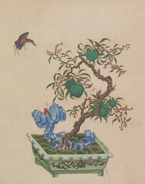 Flowers, birds and insects Pl.16