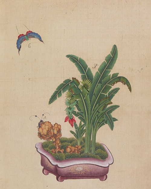 Flowers, birds and insects Pl.19