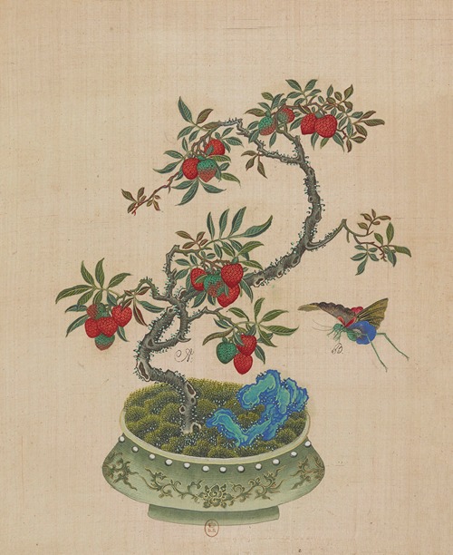 Flowers, birds and insects Pl.20