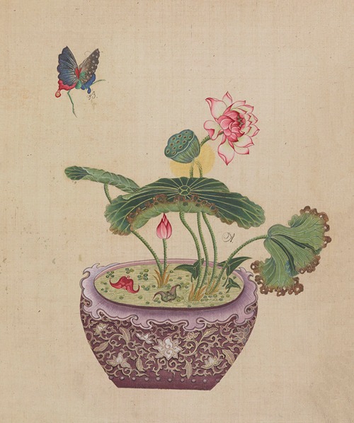 Flowers, birds and insects Pl.22