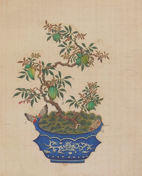 Flowers, birds and insects Pl.23