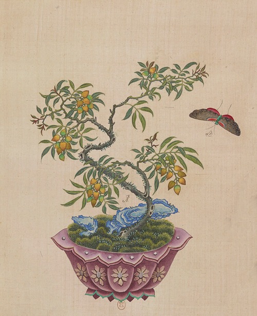 Flowers, birds and insects Pl.26