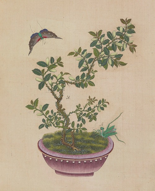 Flowers, birds and insects Pl.27