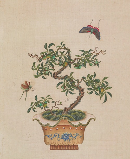 Flowers, birds and insects Pl.30