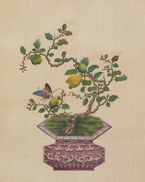 Flowers, birds and insects Pl.31