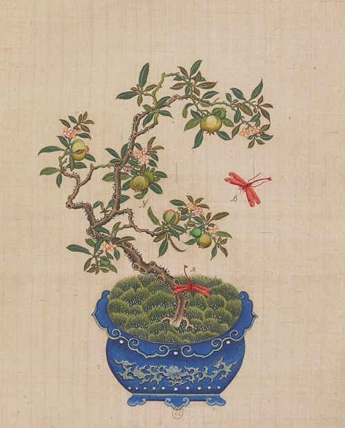 Flowers, birds and insects Pl.33